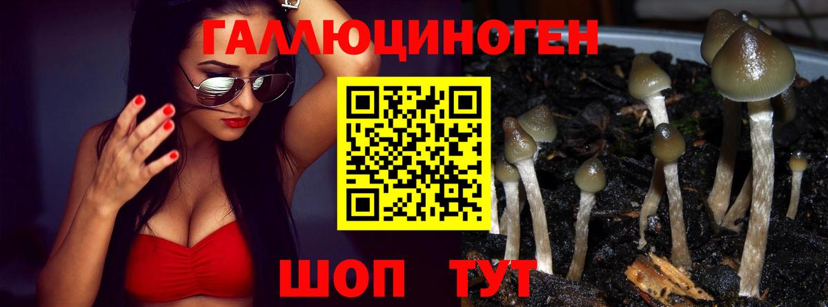 Ноябрьск  Псилоцибиновые грибы Magic Shrooms  Вход с VPN 